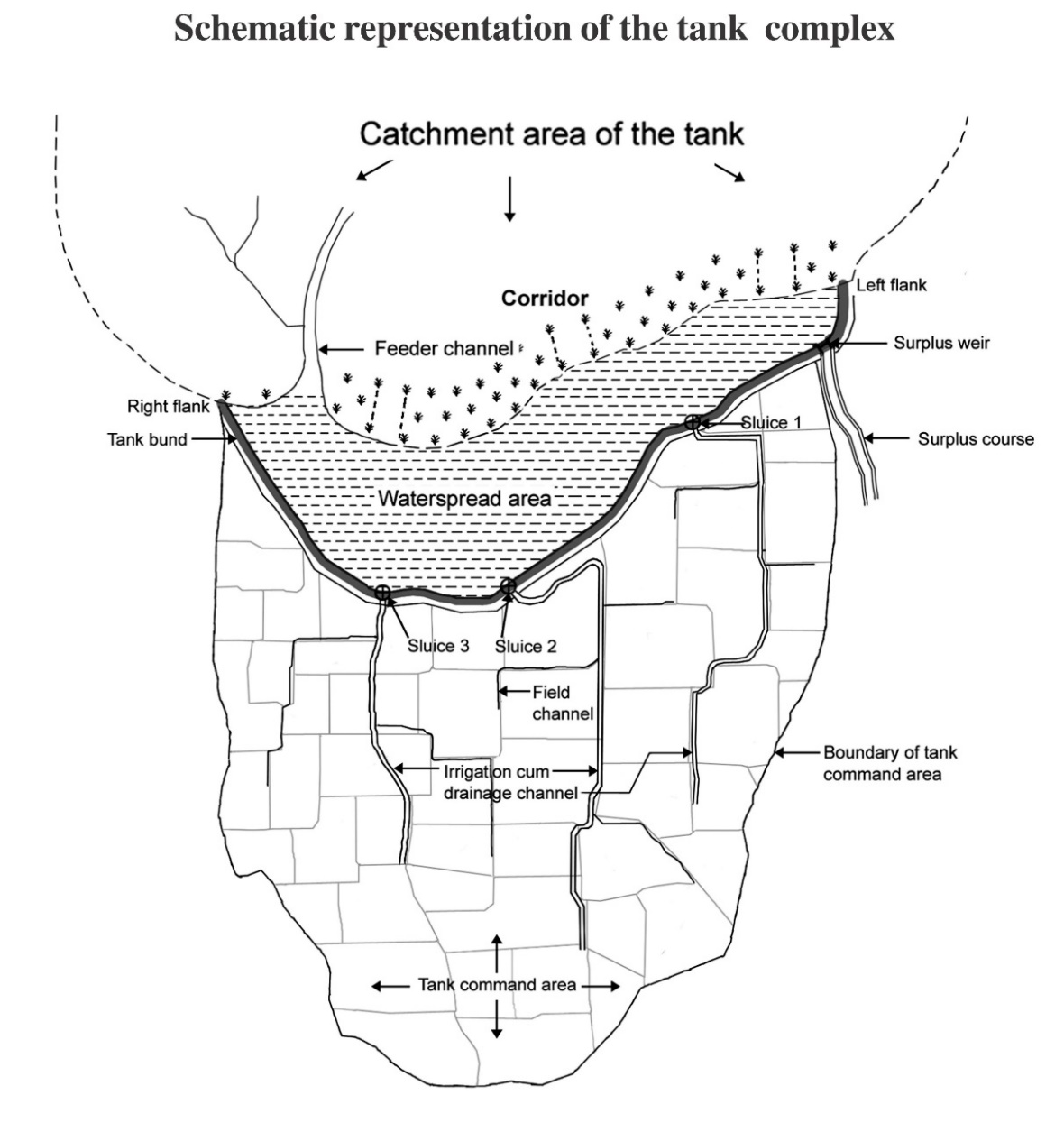 Surface Water Bodies